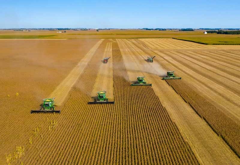 combine harvesters comb a field of wheat